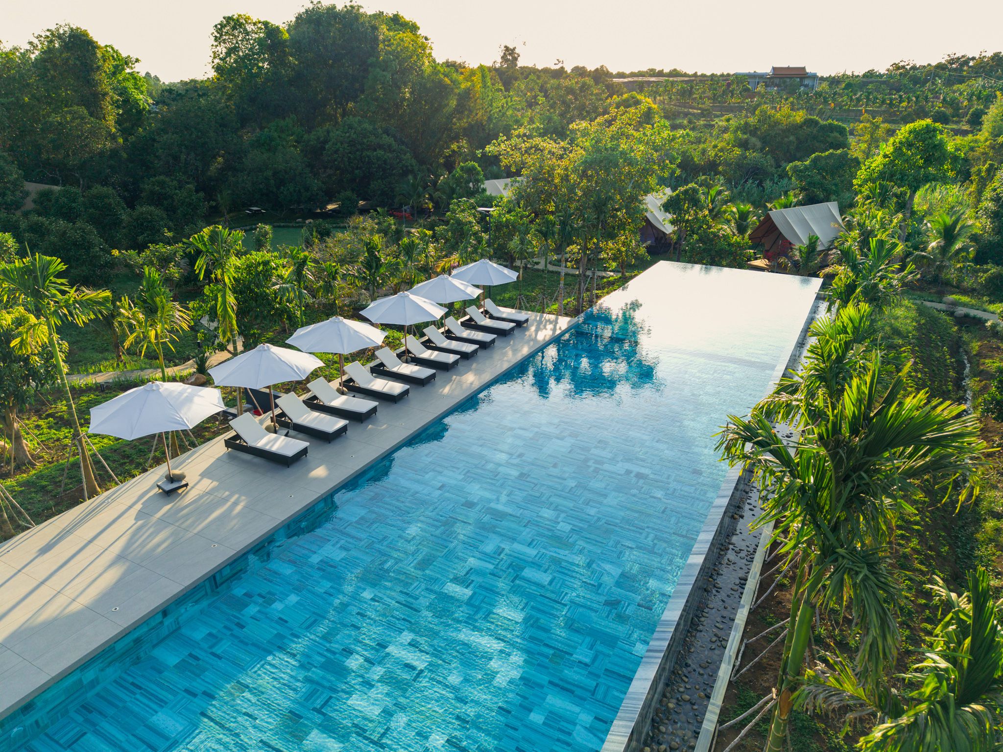 Những khoảnh khắc khó quên cùng Sendoro