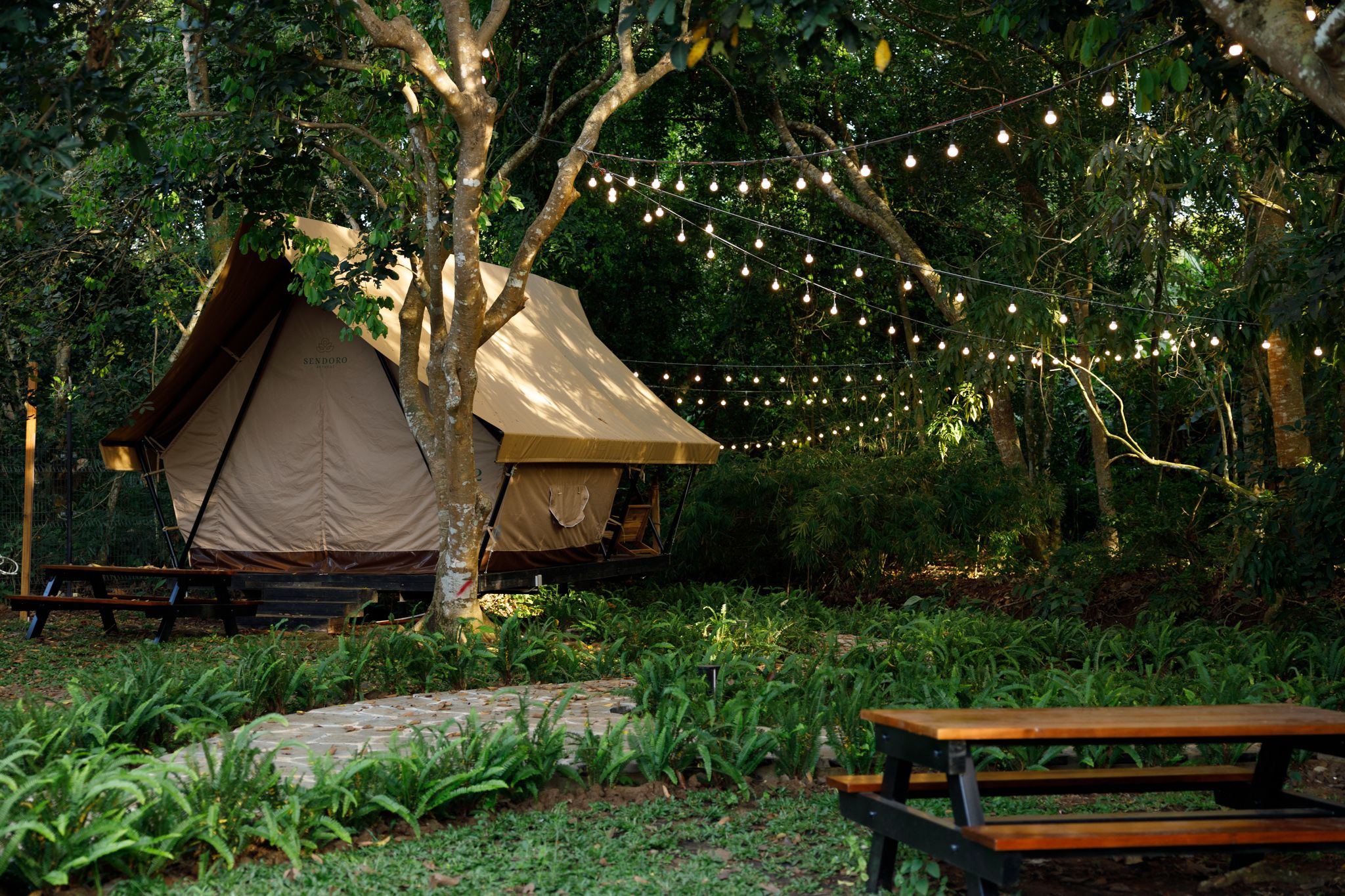 Những khoảnh khắc khó quên cùng Sendoro