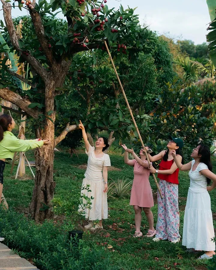 Trải nghiệm hái trái cây nhiệt đới 
